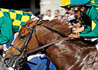 Odysseus, 2010 TC Contender, Dies Odysseus, 2010 TC Contender, Dies
