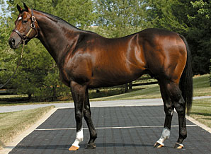 Officer Filly Among Fastest at OBS Officer Filly Among Fastest at OBS