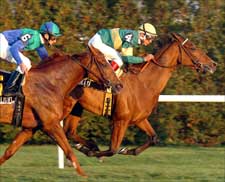 Olaya Wins Long Island 'Cap in U.S. Debut Olaya Wins Long Island 'Cap in U.S. Debut
