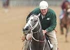 Derby Future Wager Pool 2 Begins Mar. 12