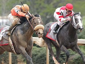 Ky. Derby Trail: Old Fashioned Blunder Ky. Derby Trail: Old Fashioned Blunder