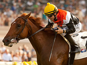 Del Mar Derby Lures Deep Field of 11 Del Mar Derby Lures Deep Field of 11