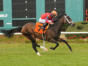 Play It Again: Old Tune Wins Hillsborough Play It Again: Old Tune Wins Hillsborough