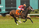 Play It Again: Old Tune Wins Hillsborough