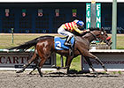 Ole's Miss Meets Elders in Ballerina Stakes Ole's Miss Meets Elders in Ballerina Stakes