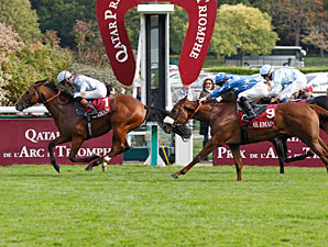 Juveniles Shine on Arc Undercard Juveniles Shine on Arc Undercard