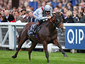 Blinkers Help Olympic Glory to QE II Tally Blinkers Help Olympic Glory to QE II Tally