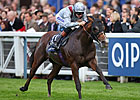 Blinkers Help Olympic Glory to QE II Tally Blinkers Help Olympic Glory to QE II Tally