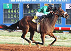 Marr Triples in Zia's New Mexico Classic Cup Marr Triples in Zia's New Mexico Classic Cup