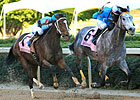 On Fire Baby Scorches Apple Blossom Foes