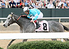 On Fire Baby Leads Acorn Probables On Fire Baby Leads Acorn Probables