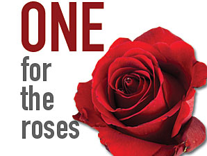 Haskin's One for the Roses: Midnight Hawk Haskin's One for the Roses: Midnight Hawk