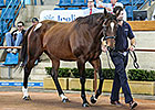 Solis Buys Top Two on Inglis' Opening Day Solis Buys Top Two on Inglis' Opening Day