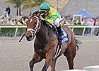 Pletcher Fillies Highlight Davona Dale Field Pletcher Fillies Highlight Davona Dale Field