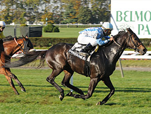 Knickerbocker: Operation Red Dawn Earns Grade Knickerbocker: Operation Red Dawn Earns Grade