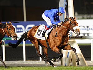 Dubai Cup