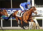 Opinion Poll Wins Ill-fated Dubai Gold Cup Opinion Poll Wins Ill-fated Dubai Gold Cup