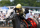 Grade II Winner Oprah Winney Retired Grade II Winner Oprah Winney Retired