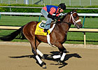 Lukas Still Hoping Optimizer Can Draw In Lukas Still Hoping Optimizer Can Draw In