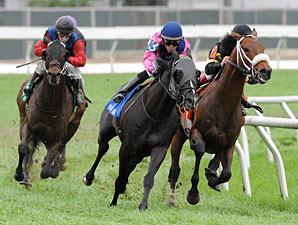 Optimizer Handles Soft Fair Grounds 'Cap Lawn