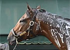 Preakness Interview: D. Wayne Lukas