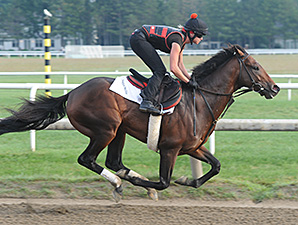 Orb Sharp in Half-Mile Travers Drill Orb Sharp in Half-Mile Travers Drill