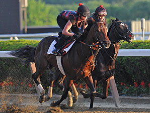 Orb On 'Go' for Belmont After Strong Work Orb On 'Go' for Belmont After Strong Work
