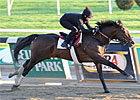 Orb Works Sharp Half-Mile for Preakness Orb Works Sharp Half-Mile for Preakness