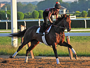 Orb Makes Brand New Start of It in Old NY Orb Makes Brand New Start of It in Old NY