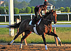 Orb Makes Brand New Start of It in Old NY Orb Makes Brand New Start of It in Old NY