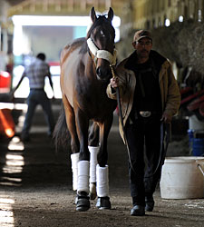 Orb Doing Well; Itsmyluckyday to Work Orb Doing Well; Itsmyluckyday to Work