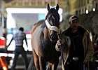Orb Doing Well; Itsmyluckyday to Work