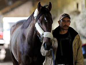 Orb Returns to Training at Belmont Park Orb Returns to Training at Belmont Park
