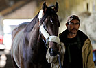 Orb Returns to Training at Belmont Park