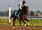 Derby Winner Orb Progresses at Fair Hill Derby Winner Orb Progresses at Fair Hill