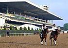 Unlocking Winners: The 145th Belmont Stakes