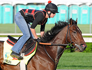 Kentucky Derby Preview: All About Orb Kentucky Derby Preview: All About Orb