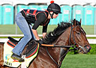 Kentucky Derby Preview: All About Orb