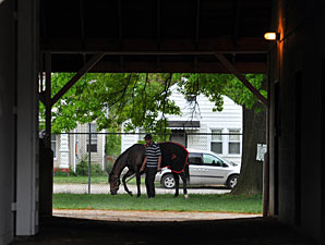 Orb Favored in Oaks-Derby Double Pool Orb Favored in Oaks-Derby Double Pool