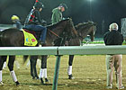 Haskin: Derby Launched Into Orb-it Haskin: Derby Launched Into Orb-it