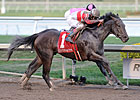 Orb Sets a Course to the Classics Orb Sets a Course to the Classics