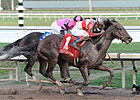 Orb Overcomes Violence in Fountain of Youth