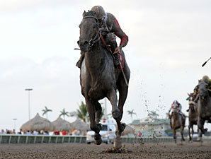 Orb's Next Start Undecided, McGaughey Says Orb's Next Start Undecided, McGaughey Says