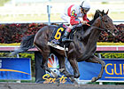 Orb Looks Golden With Powerful Florida Derby