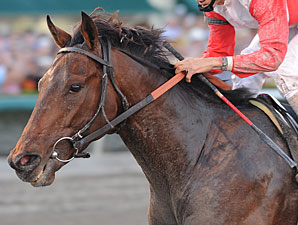 Orb Vaults to top of NTRA 3YO Poll Orb Vaults to top of NTRA 3YO Poll