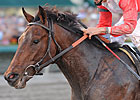 Orb Vaults to top of NTRA 3YO Poll