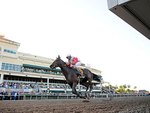 Orb Bounces Out of His Florida Derby Victory