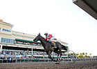 Orb Bounces Out of His Florida Derby Victory