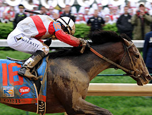 Orb Retired, to Stand at Claiborne in 2014 Orb Retired, to Stand at Claiborne in 2014