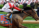 Orb Retired, to Stand at Claiborne in 2014 Orb Retired, to Stand at Claiborne in 2014